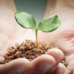 Getting Started on Your PCOS Diet Plan