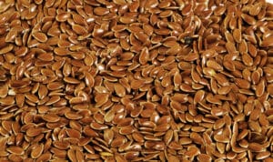 Testosterone-lowering-foods-flaxseeds