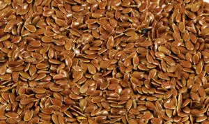 Testosterone-lowering-foods-flaxseeds