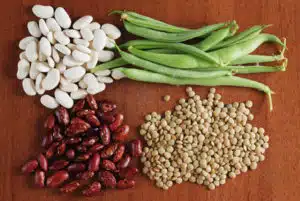 Should soy be a part of your pcos diet soy