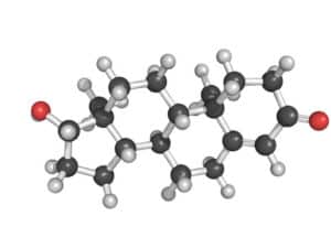 Another-look-at-dairy-testosterone