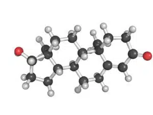 Another-look-at-dairy-testosterone