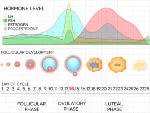 kick-start-your-period-with-pcos