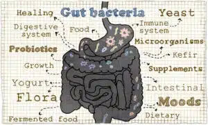 PCOS Microbiome