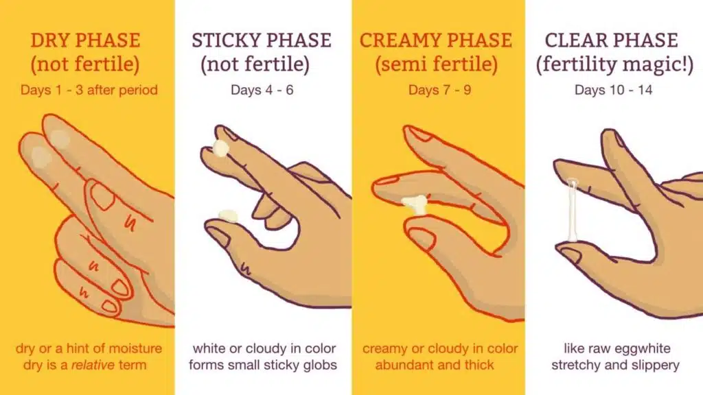 ovulation-tracking-with-pcos